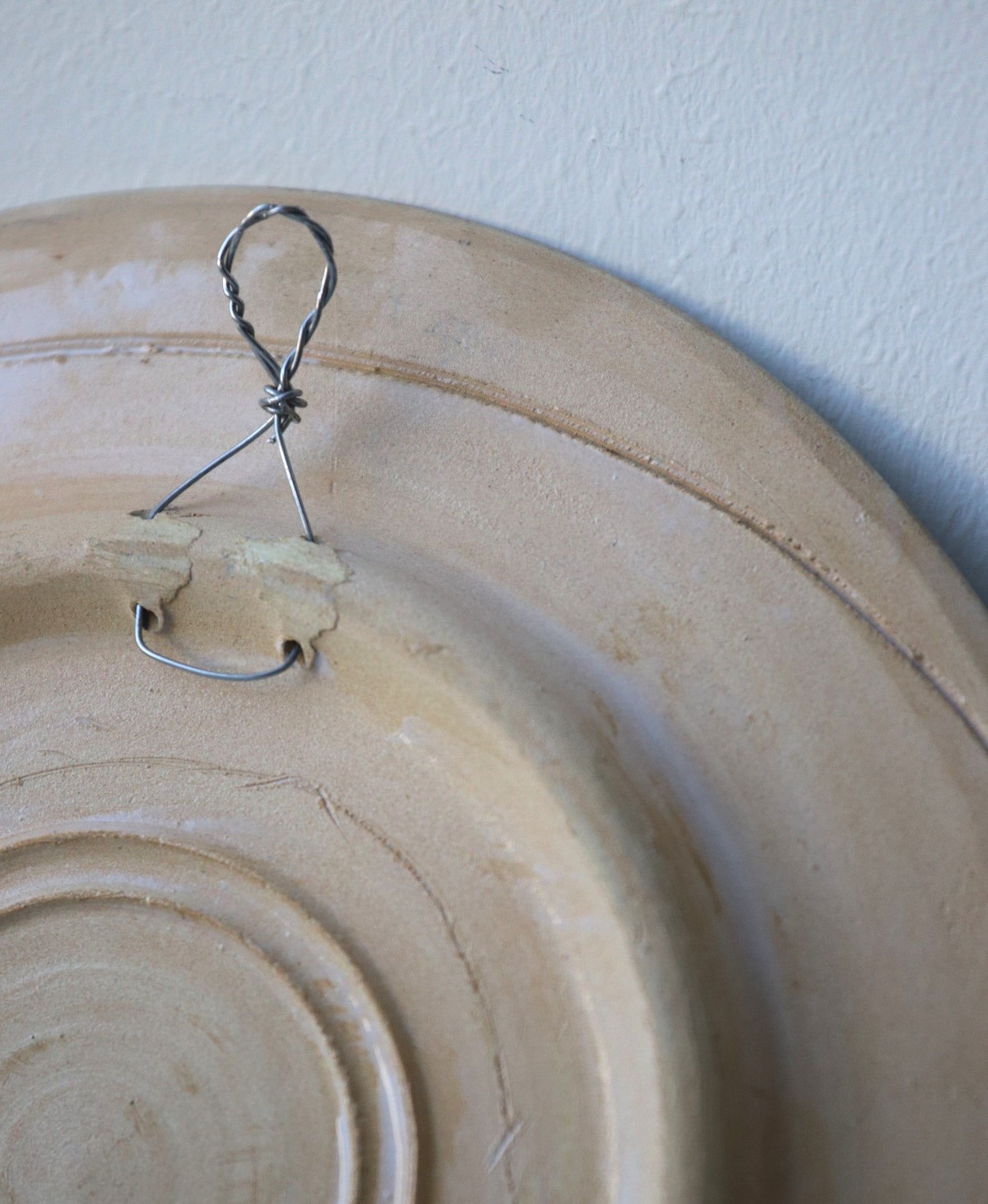 Palmidega seinataldrik