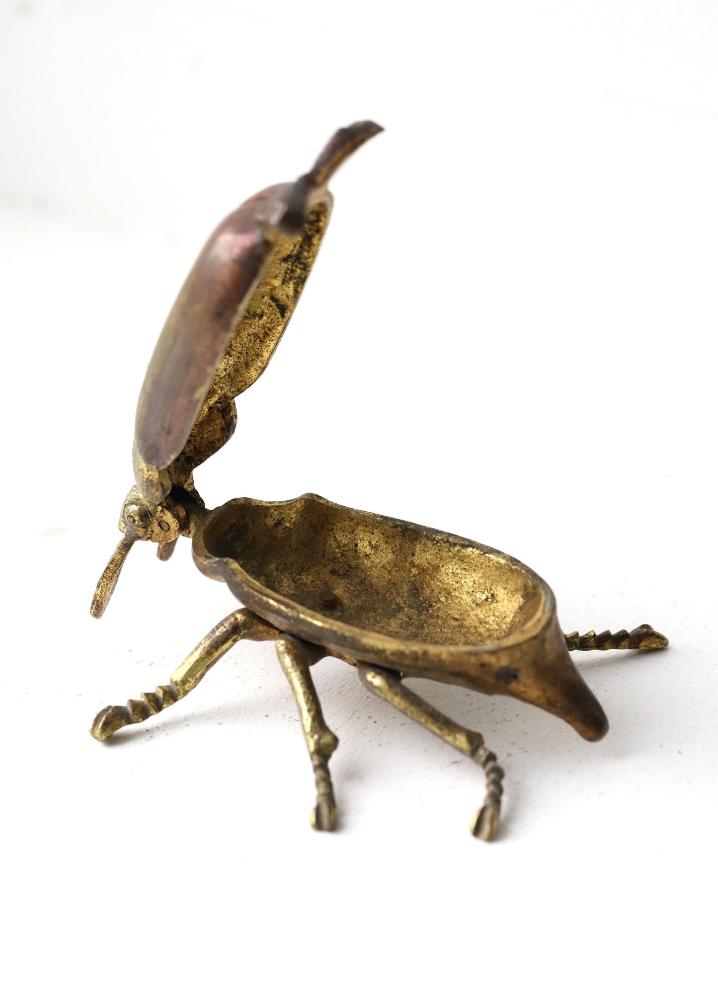 Metallist putukakujuline toos