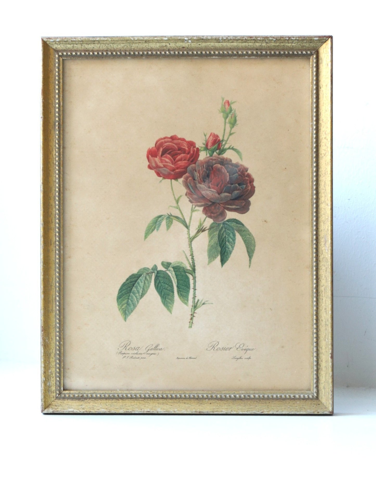 Vanaaegne pilt roosidega