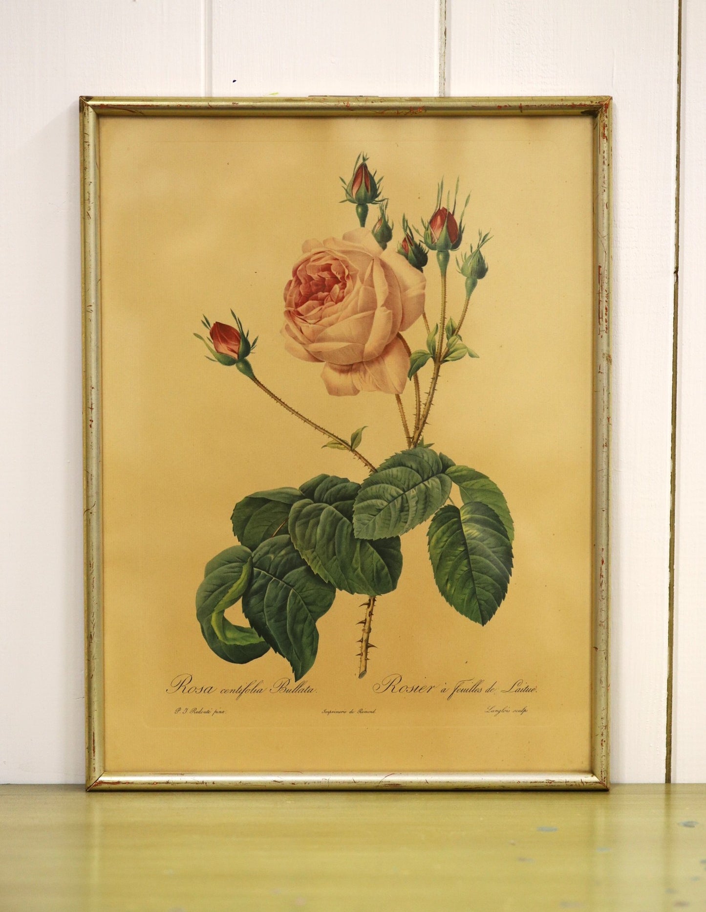 Vanaaegne pilt raamis/ roosid I