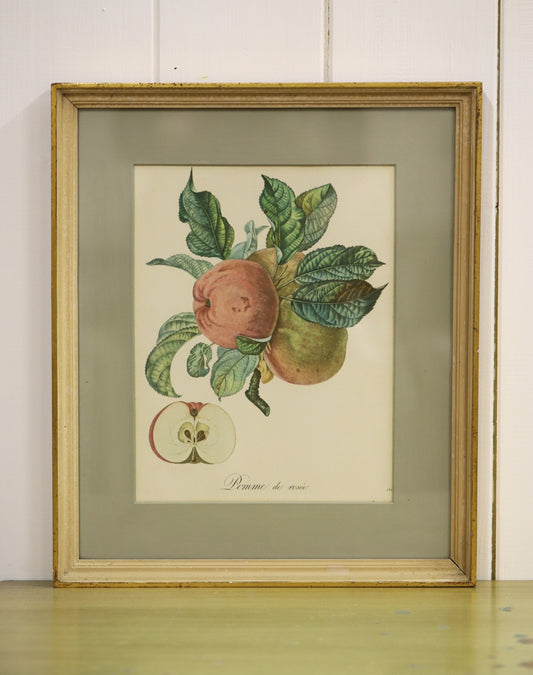 Vanaaegne pilt raamis/ õunad