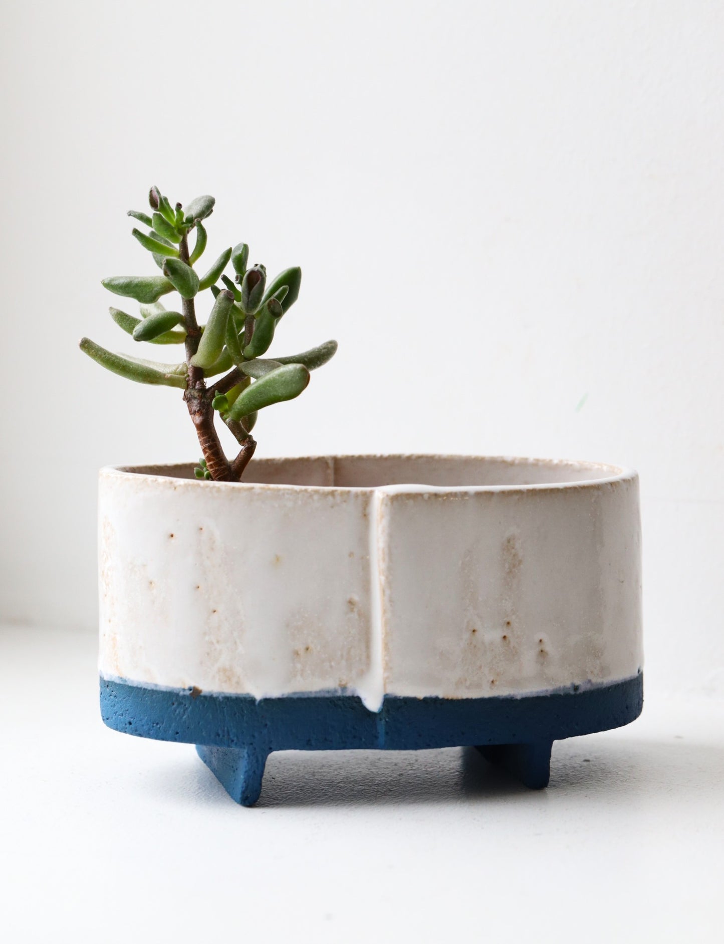 Keraamiline vaas / autor Tiina Kaljuste