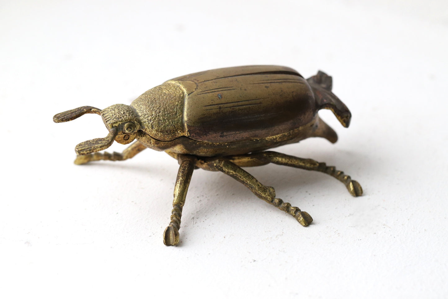 Metallist putukakujuline toos