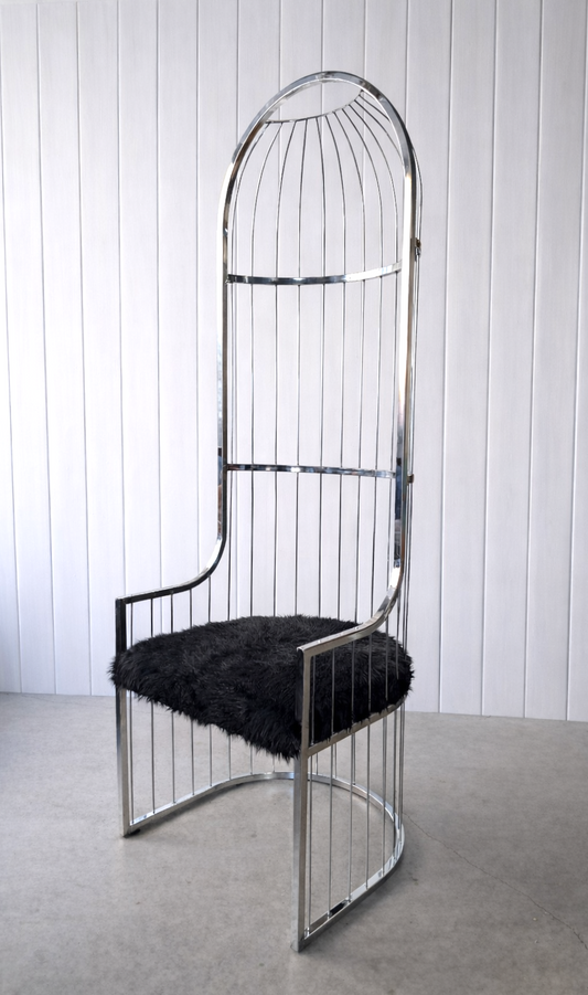 Hõbedane troon/ tugitool